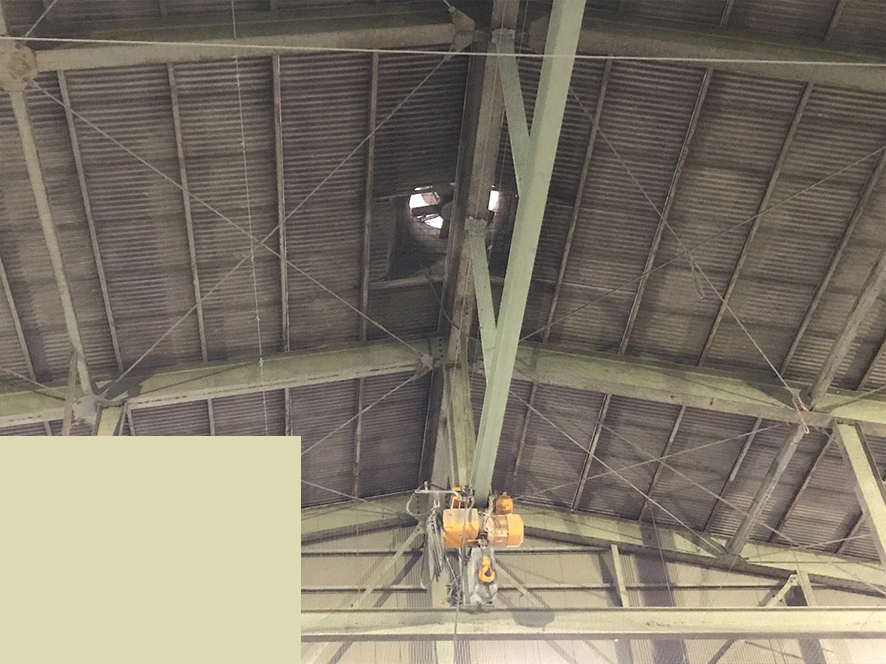 群馬県安中市　某工場内の天井に鳩が飛来・待機し、糞害を及ぼしていたので、天井部にピーコンネットを張り鳩の飛来・待機を抑制しました