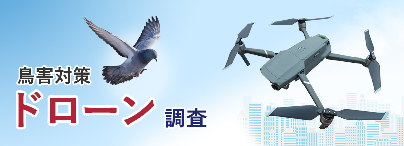 鳥害対策 ドローン調査