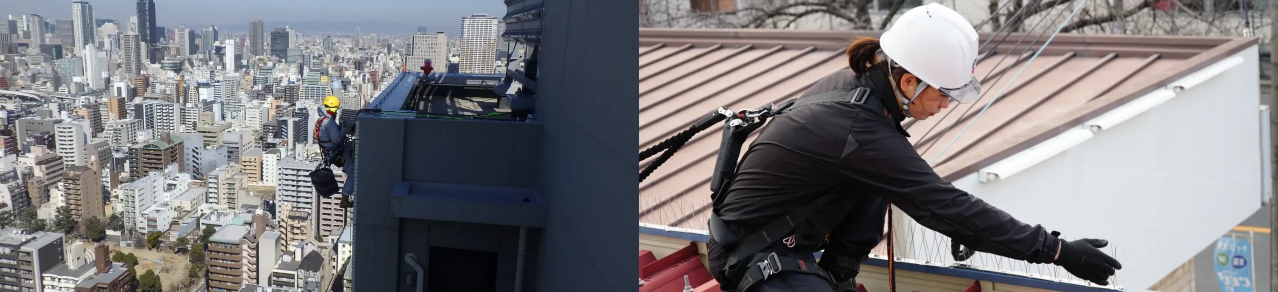 日本鳩対策センター香川