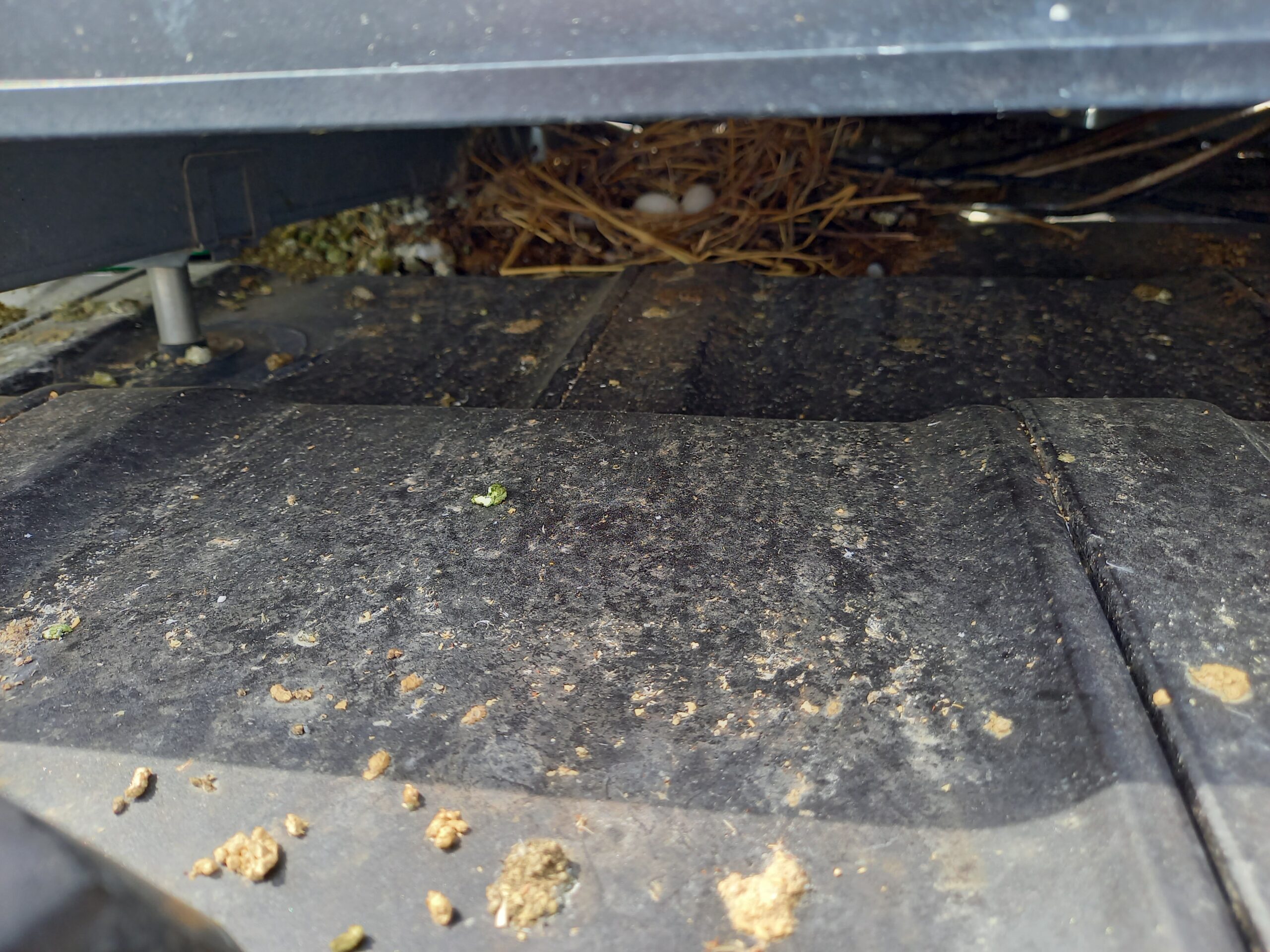 愛知県常滑市　戸建住宅ソーラーパネル周囲　ピーコンネット１５取付施工