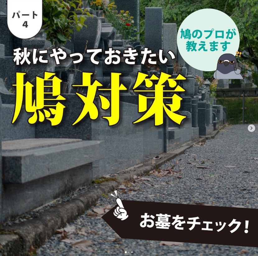 秋にやっておきたい鳩対策2