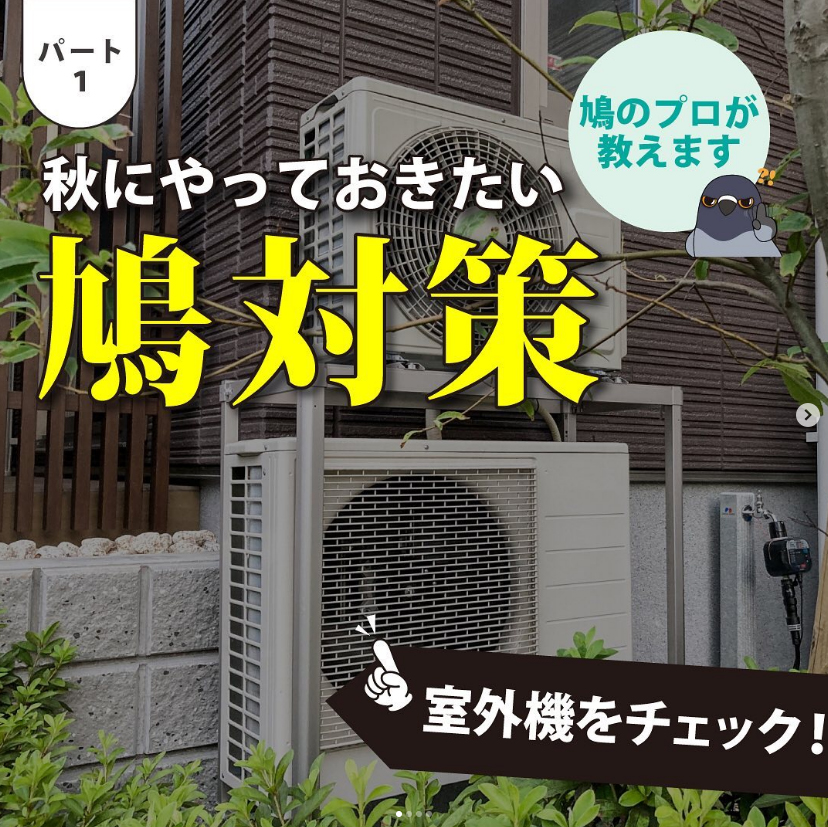 秋にやっておきたい鳩対策