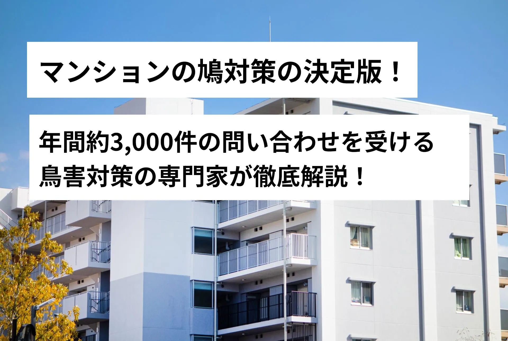 マンションの鳩対策の決定版！年間約3,000件の問い合わせを受ける鳥害対策の専門家が徹底解説！