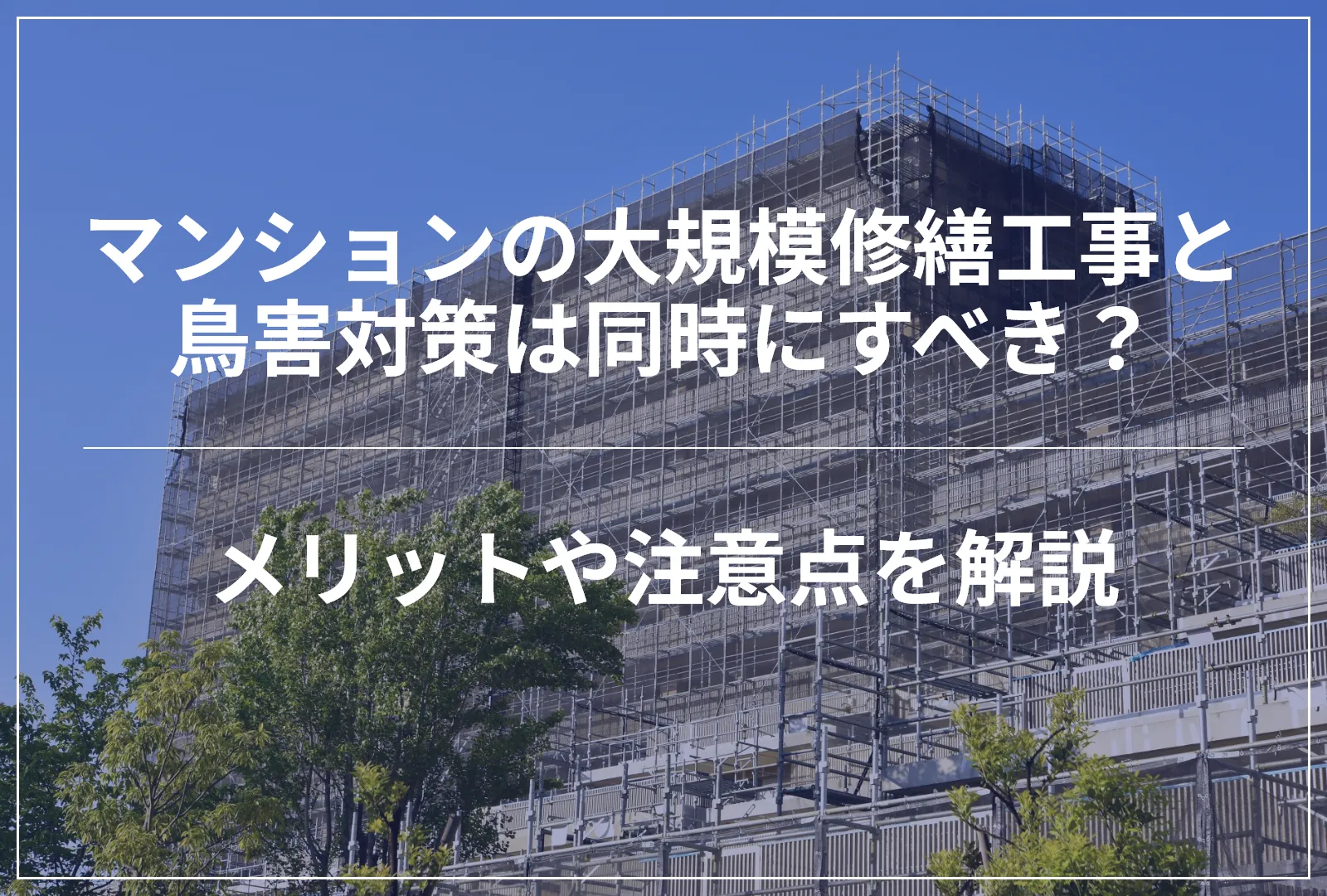 マンションの大規模修繕工事と鳥害対策は同時にすべき？メリットや注意点を解説