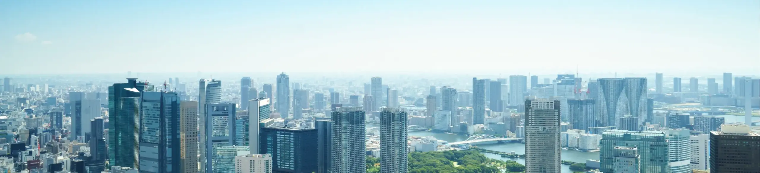 代表メッセージ