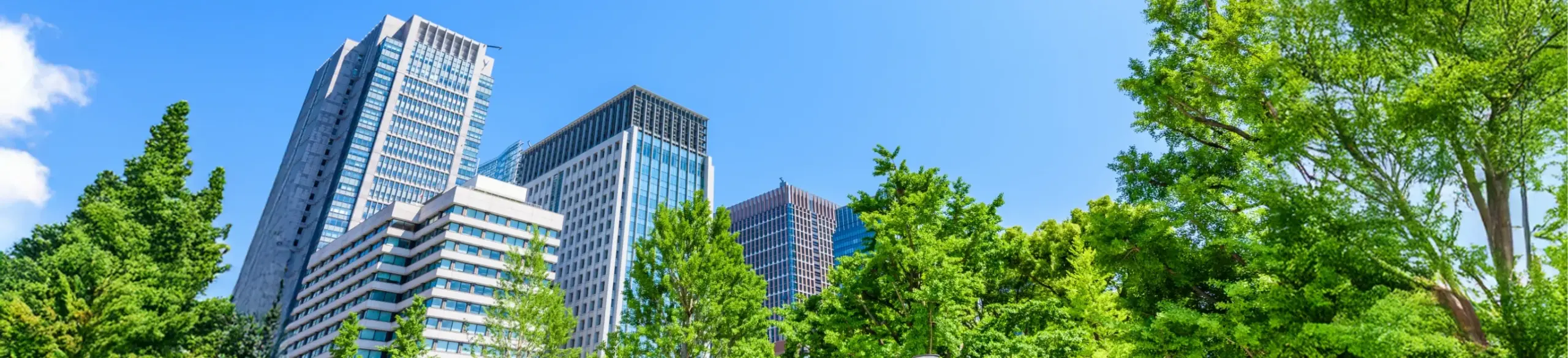 5年保証について