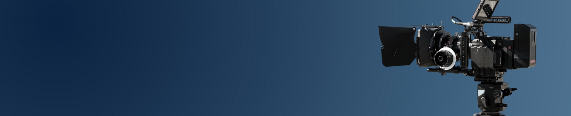 映画『鳩の撃退法』コラボ企画