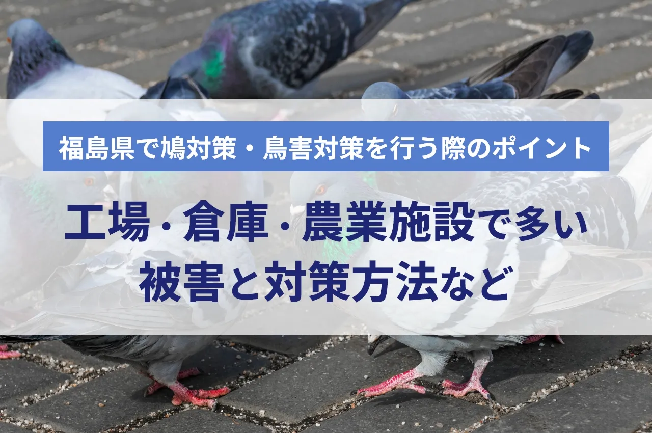 福島県で鳩対策・鳥害対策を行う際のポイント｜工場・倉庫・農業施設で多い被害と対策方法など
