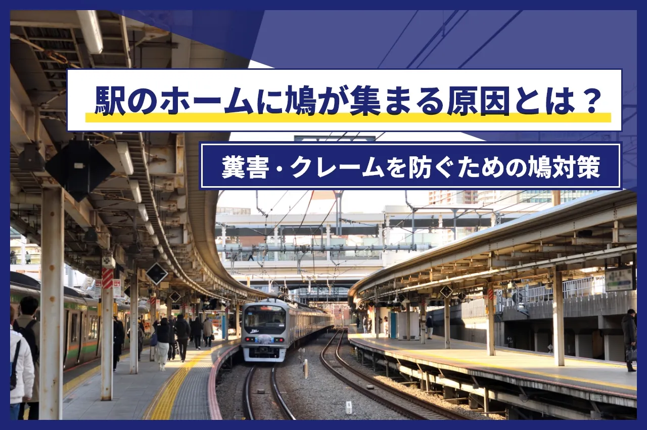 駅のホームに鳩が集まる原因とは？糞害・クレームを防ぐための鳩対策